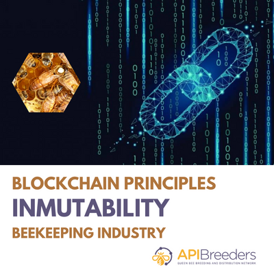 BLOCKCHAIN PRINCIPLES I - IMMUTABILITY